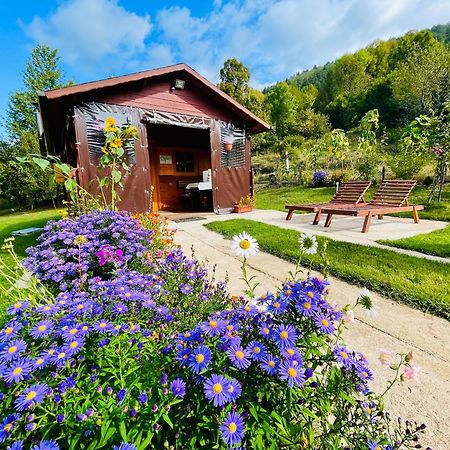 Cottage La Sierra With Jacuzzi Кореница Екстериор снимка