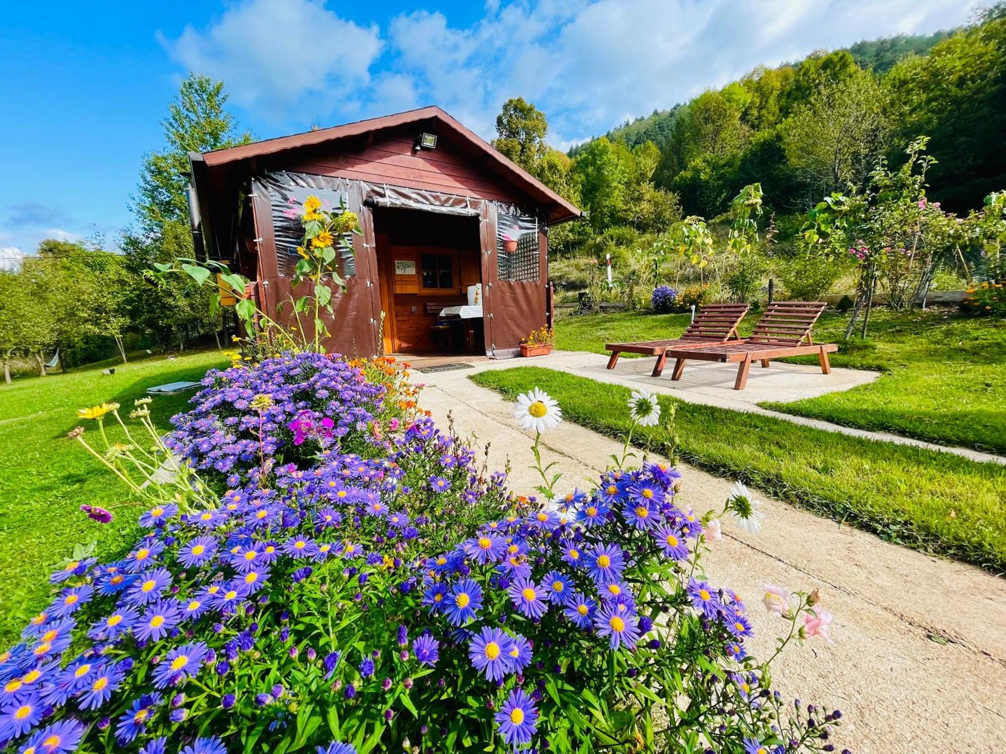 Cottage La Sierra With Jacuzzi Кореница Екстериор снимка