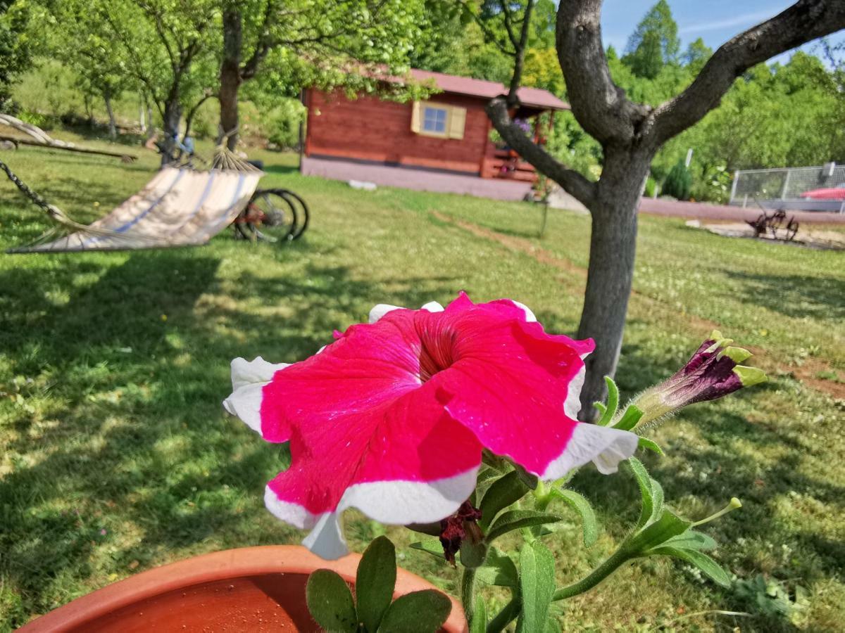 Cottage La Sierra With Jacuzzi Кореница Екстериор снимка